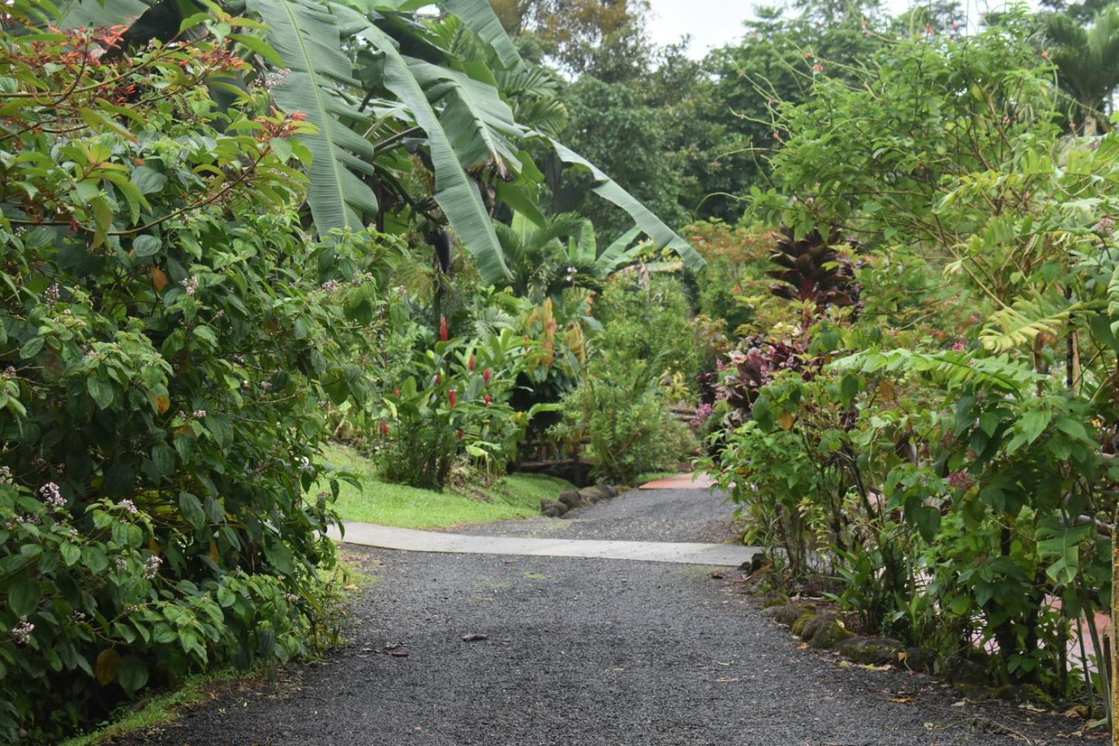 Hotel Roca Negra Del Arenal La Fortuna Kültér fotó