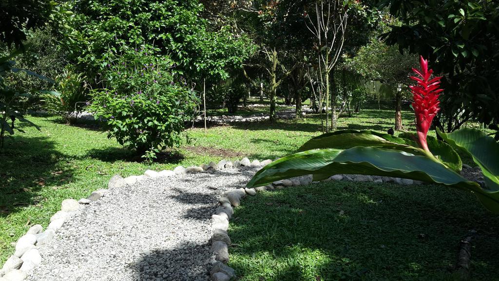 Hotel Roca Negra Del Arenal La Fortuna Kültér fotó