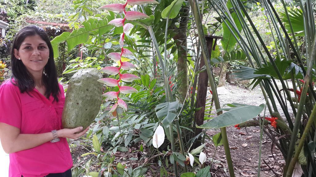 Hotel Roca Negra Del Arenal La Fortuna Kültér fotó