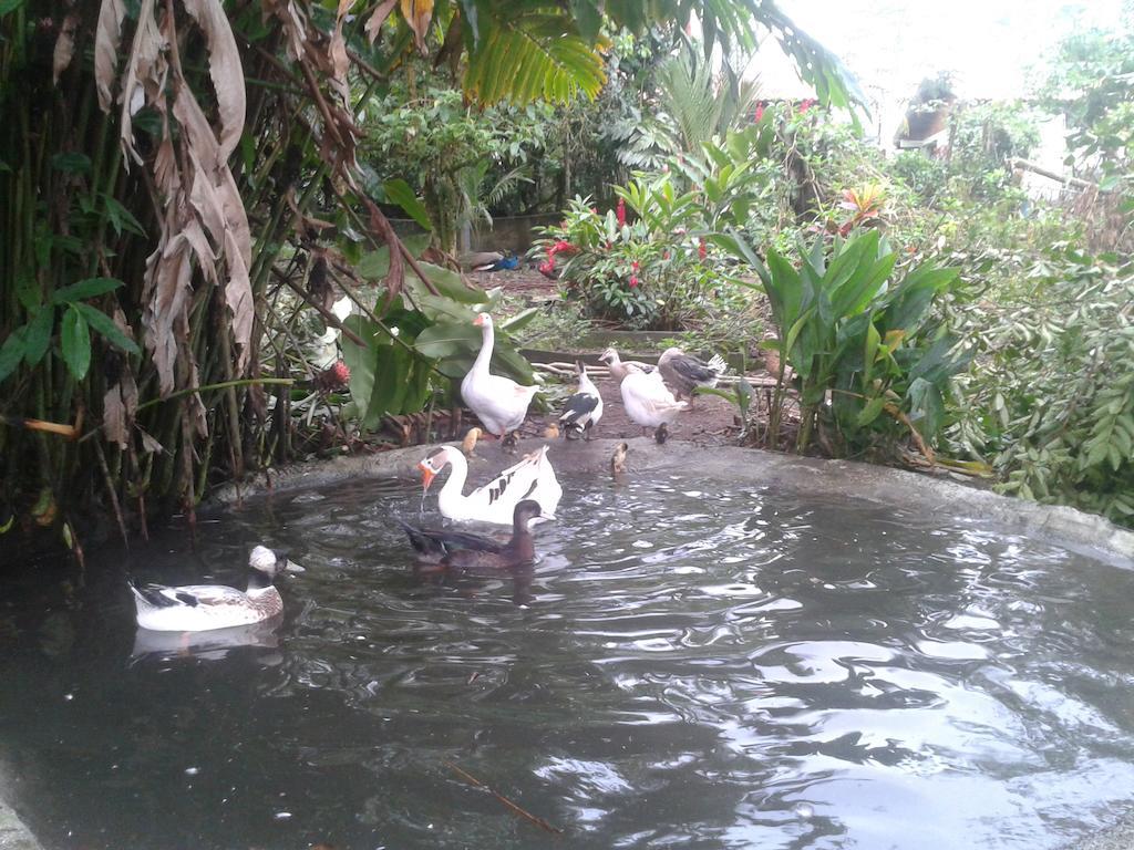 Hotel Roca Negra Del Arenal La Fortuna Kültér fotó