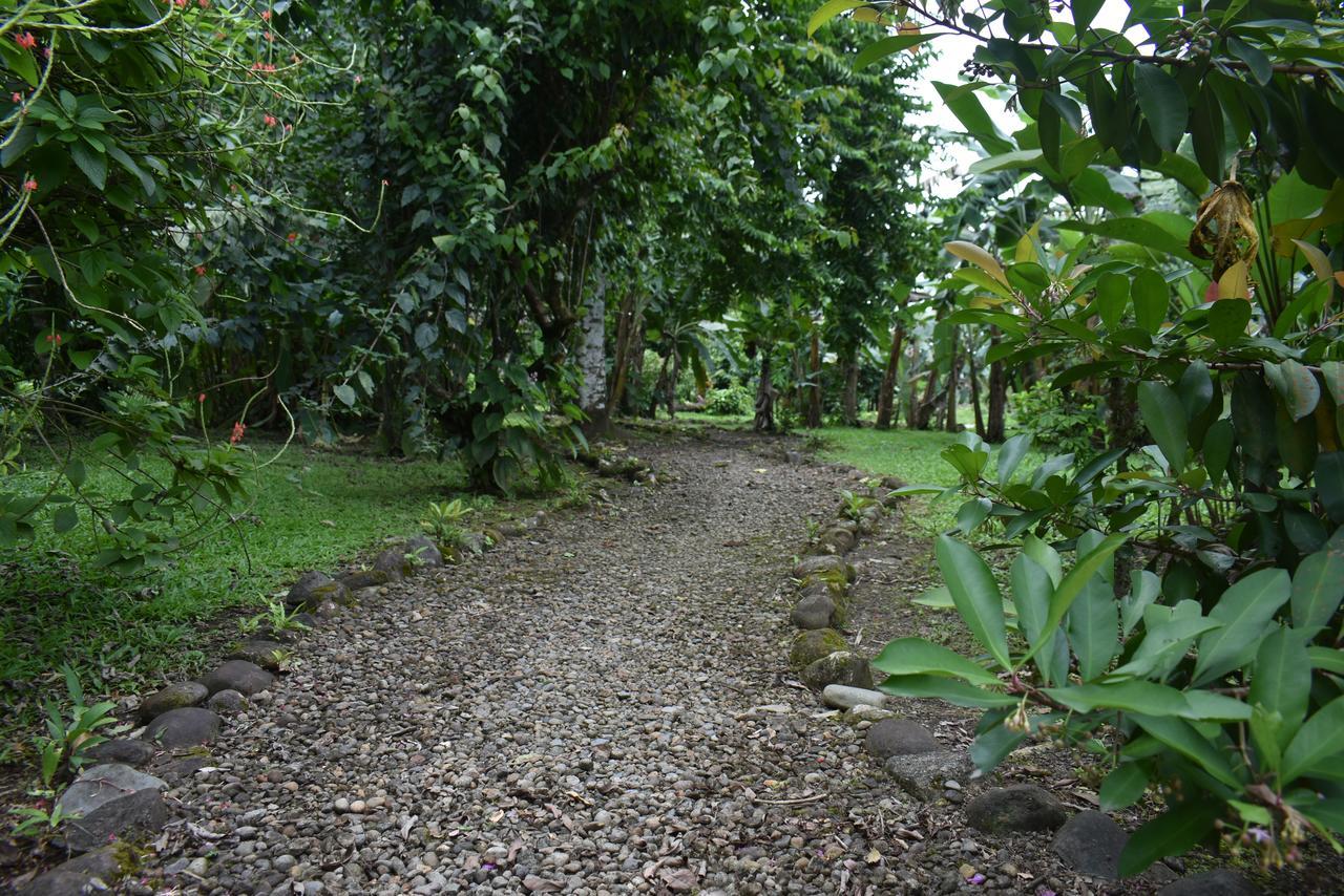 Hotel Roca Negra Del Arenal La Fortuna Kültér fotó