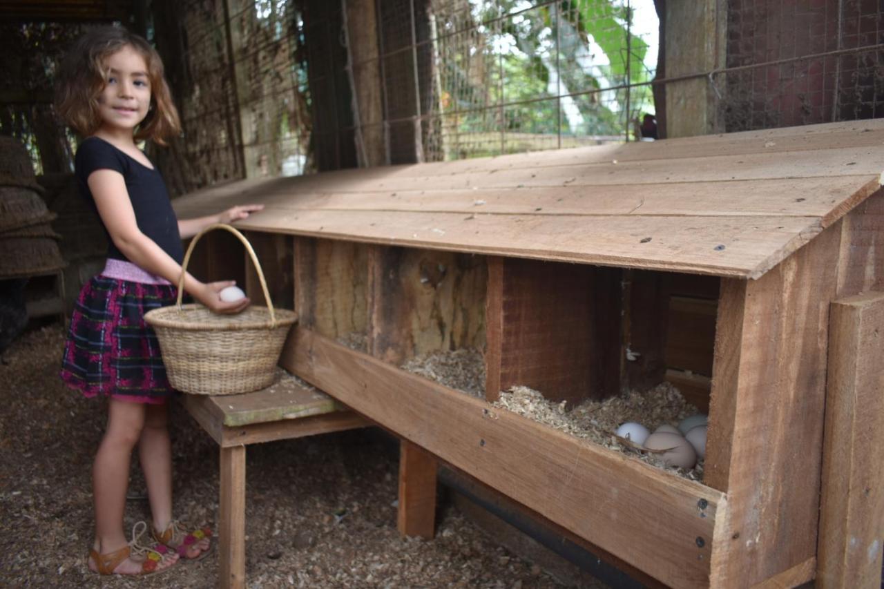 Hotel Roca Negra Del Arenal La Fortuna Kültér fotó